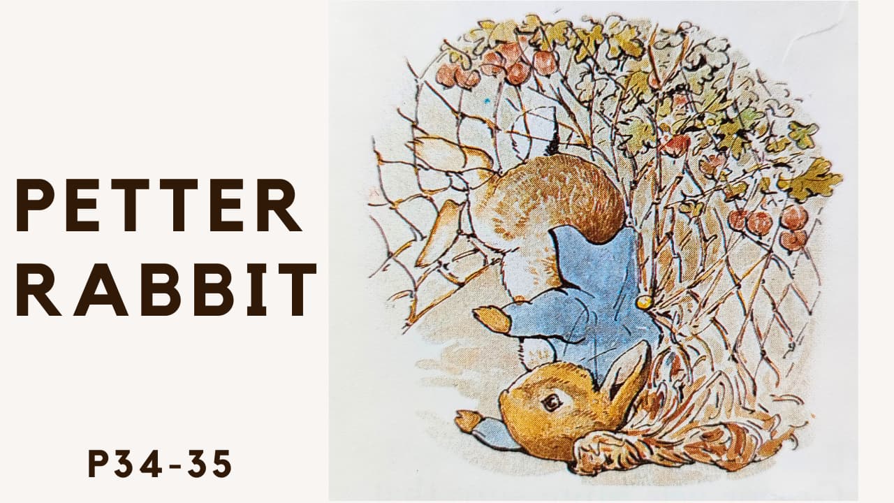 洋書選びのコツ！LexileとYL比較と英検・TOEICのレベル換算表